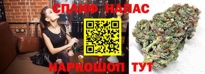 COCAINE Пугачёв