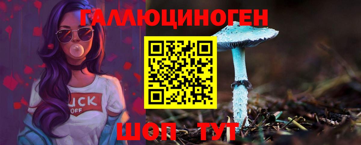 Псилоцибиновые грибы Psilocybine cubensis Троицк